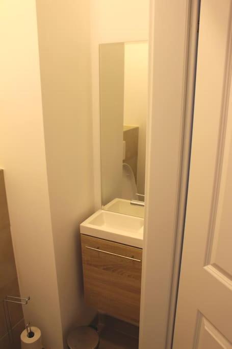 Paraderma Apartment Im Zentrum Baden Bei Wien エクステリア 写真