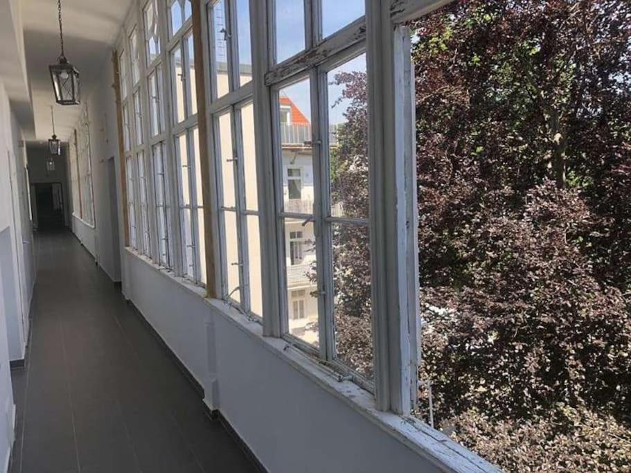 Paraderma Apartment Im Zentrum Baden Bei Wien エクステリア 写真